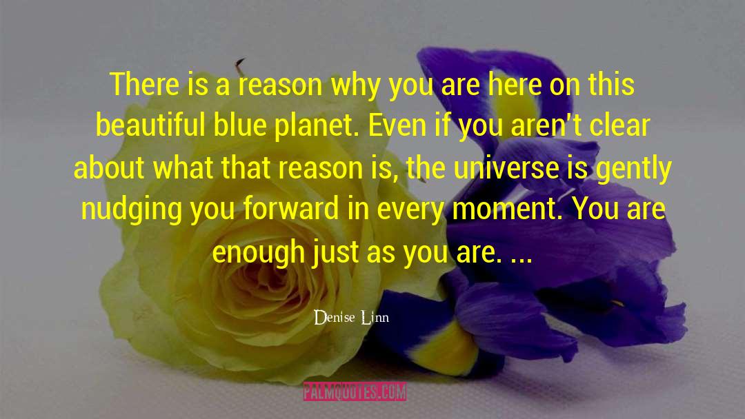Blue Planet quotes by Denise Linn