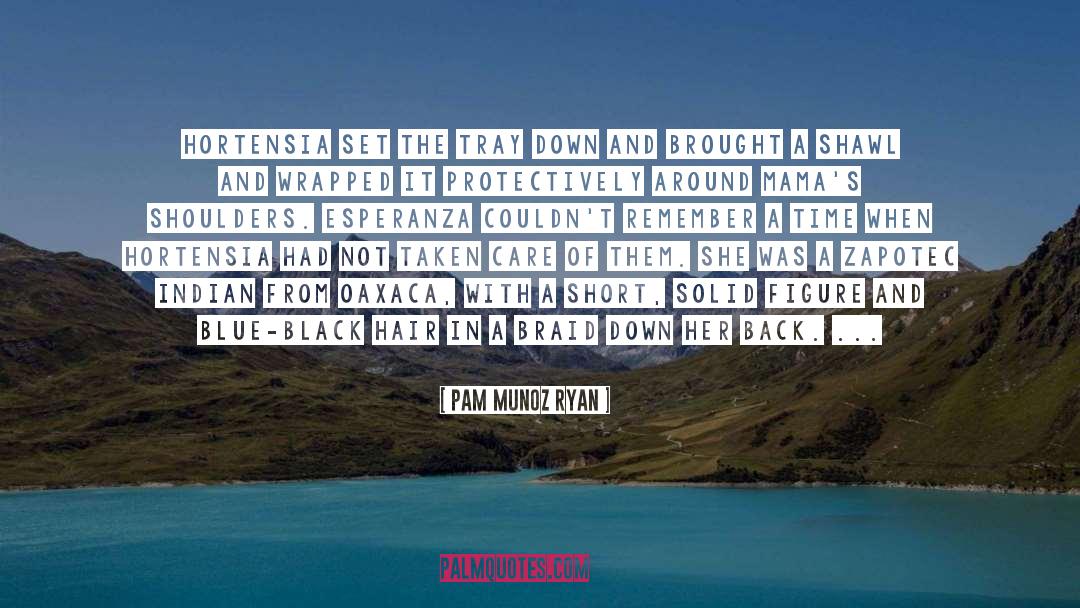 Blue Prints quotes by Pam Munoz Ryan