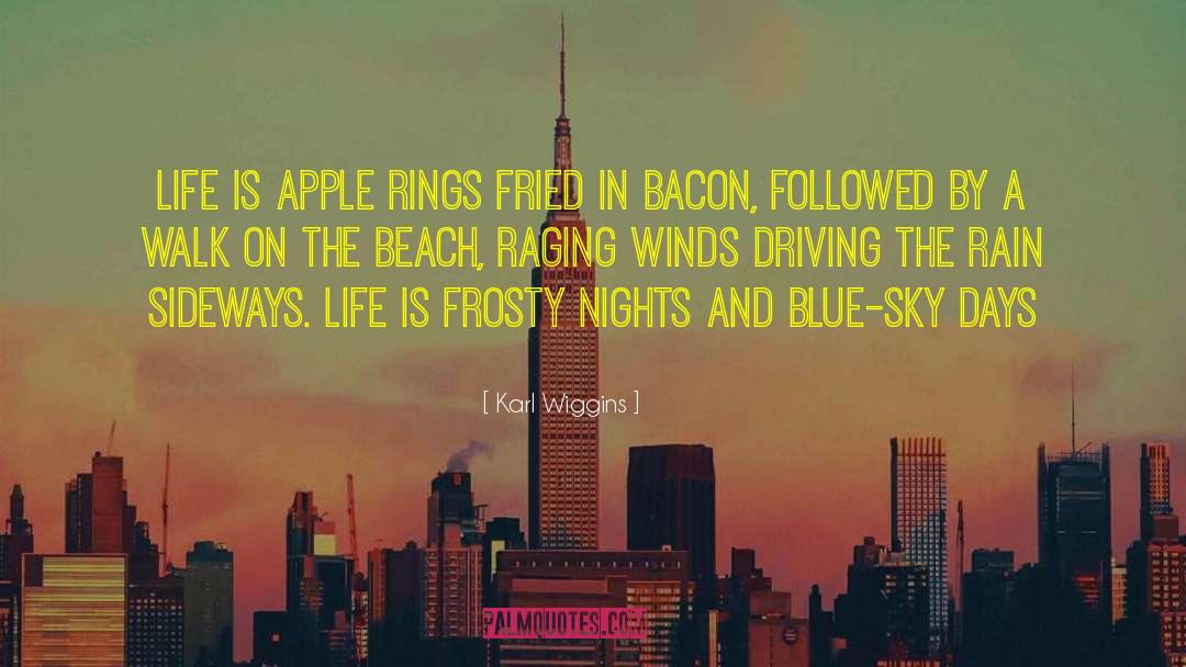 Blue Sky quotes by Karl Wiggins
