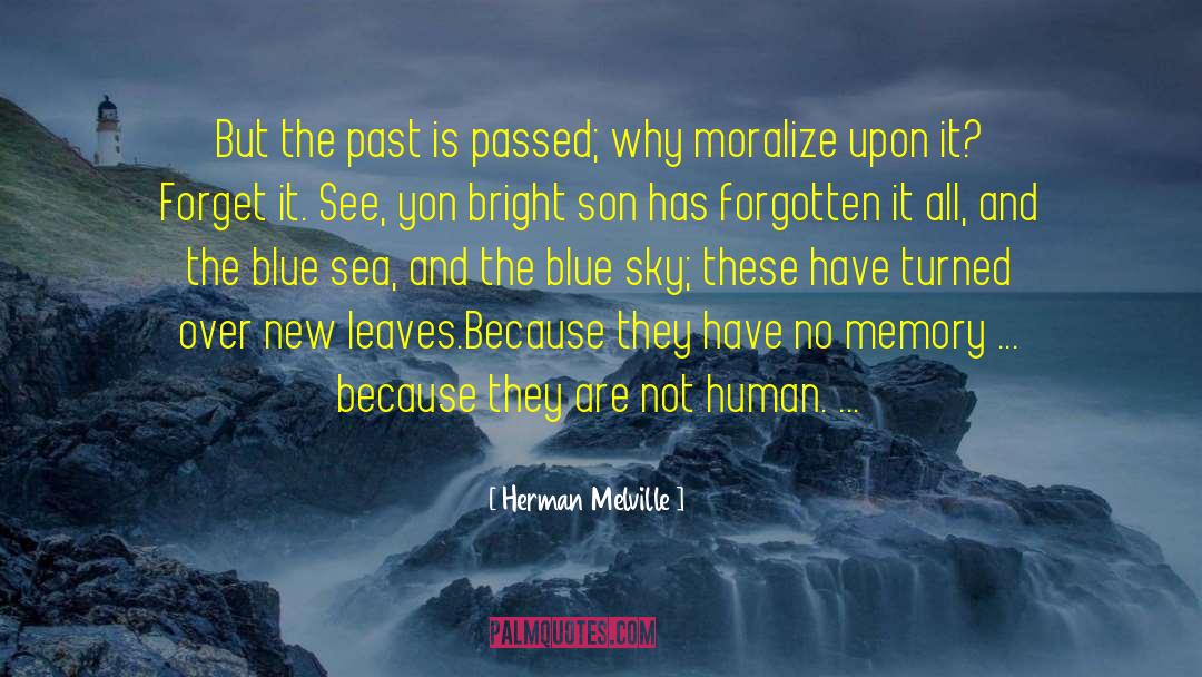 Blue Sky quotes by Herman Melville