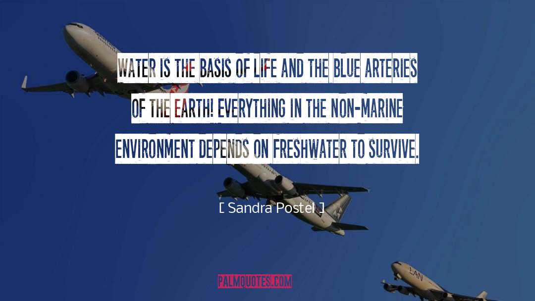 Blue Water quotes by Sandra Postel