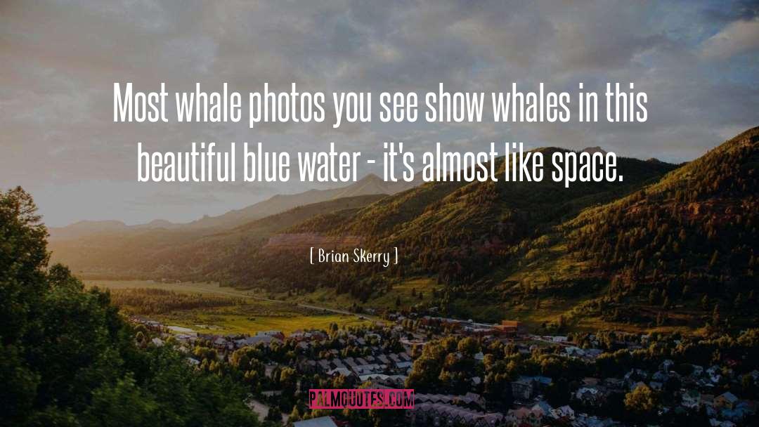 Blue Water quotes by Brian Skerry
