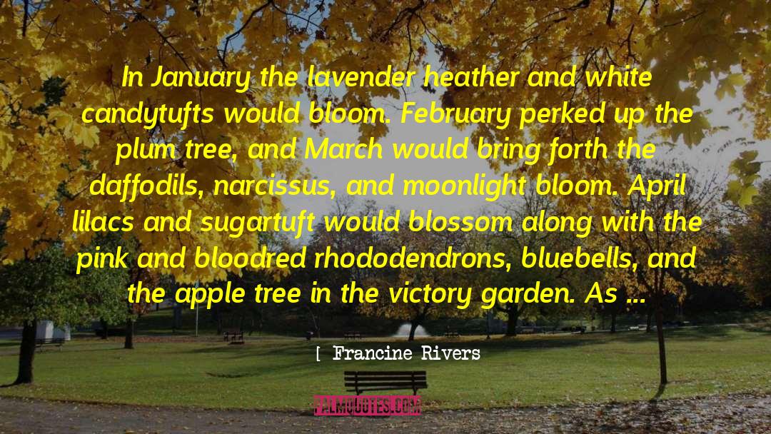 Bluebells quotes by Francine Rivers