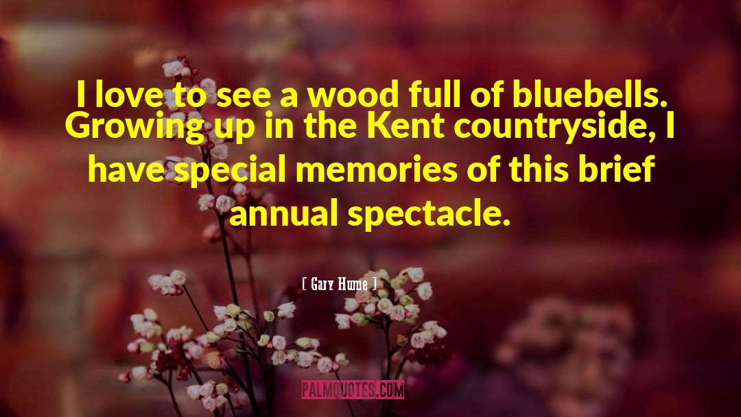 Bluebells quotes by Gary Hume