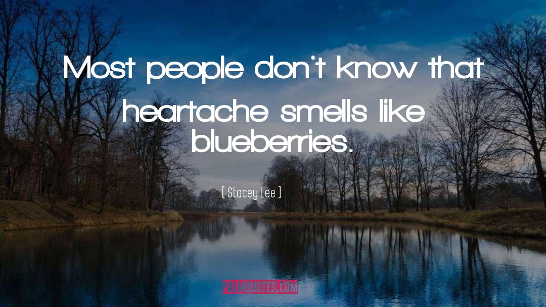 Blueberries quotes by Stacey Lee