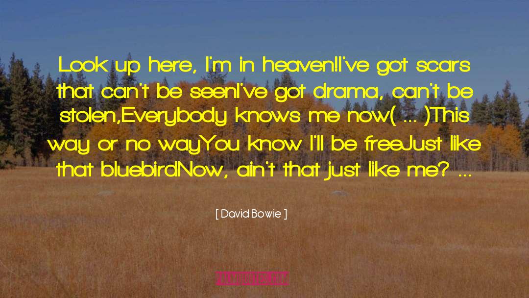 Bluebird quotes by David Bowie