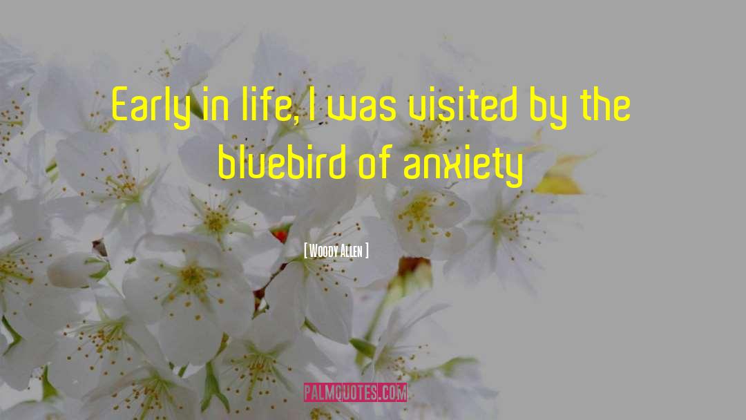 Bluebird quotes by Woody Allen