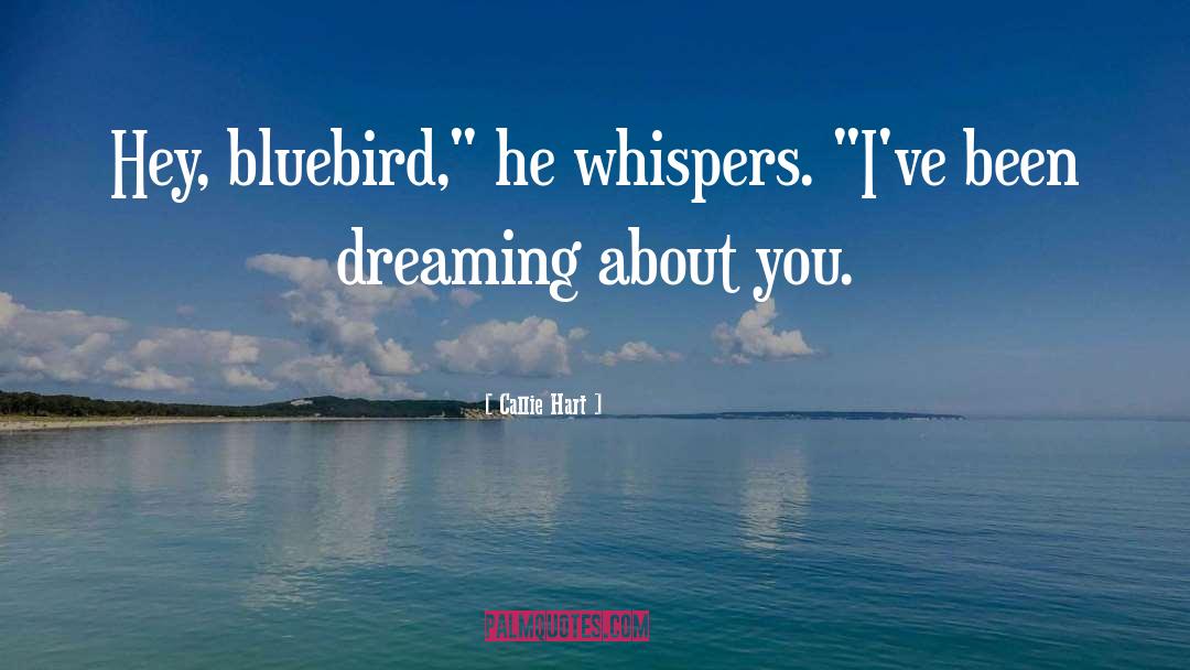 Bluebird quotes by Callie Hart