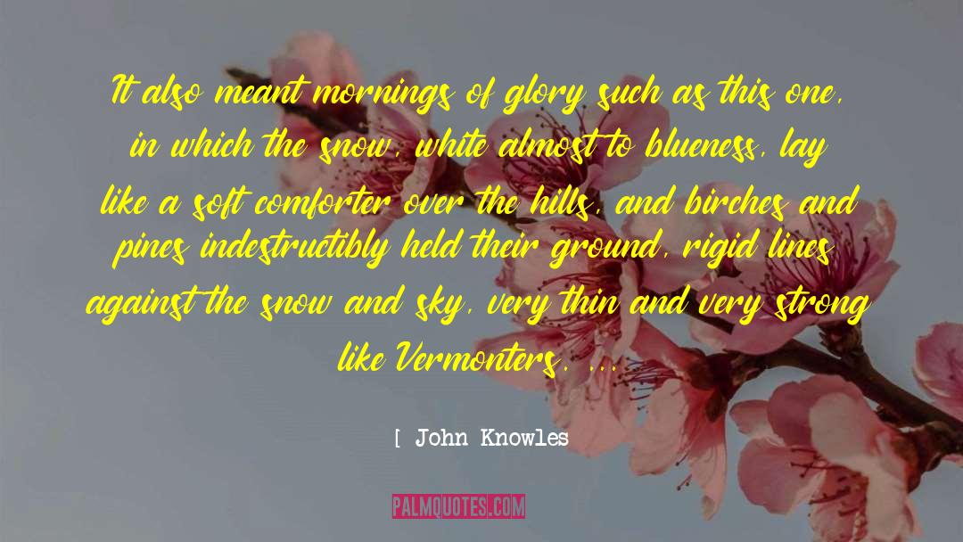 Blueness quotes by John Knowles
