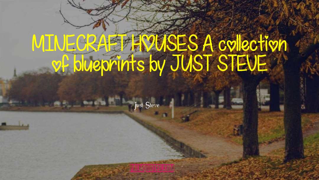 Blueprints quotes by Just Steve