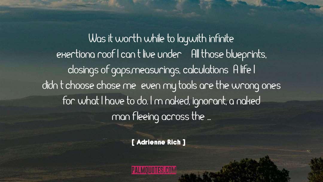 Blueprints quotes by Adrienne Rich