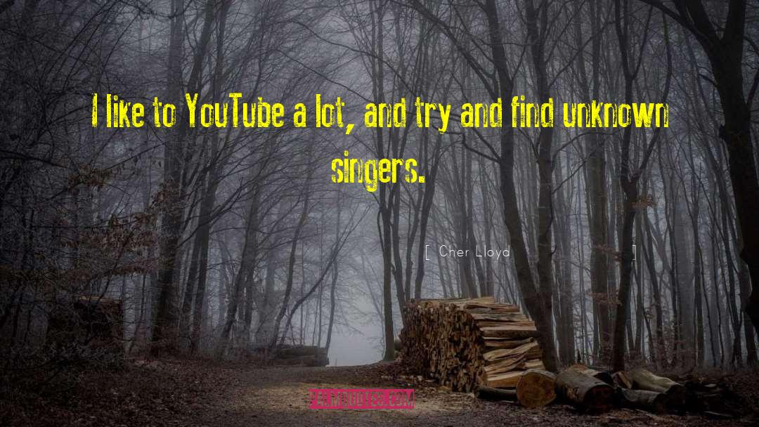 Bluetube Youtube quotes by Cher Lloyd