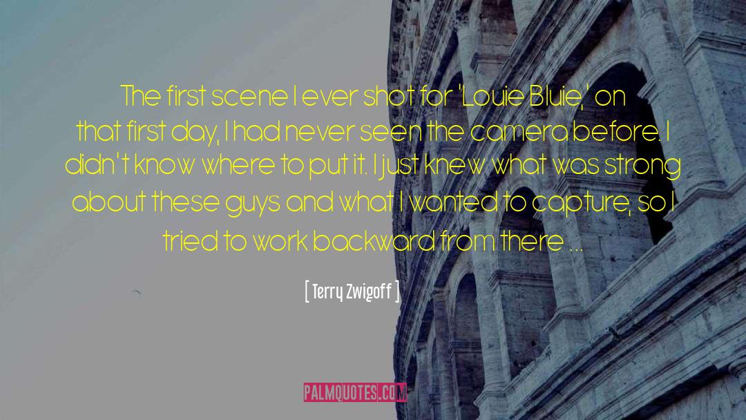 Bluie quotes by Terry Zwigoff