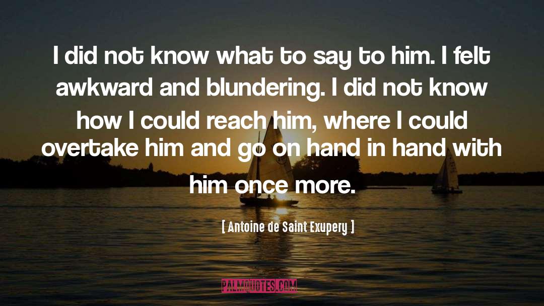 Blunder quotes by Antoine De Saint Exupery