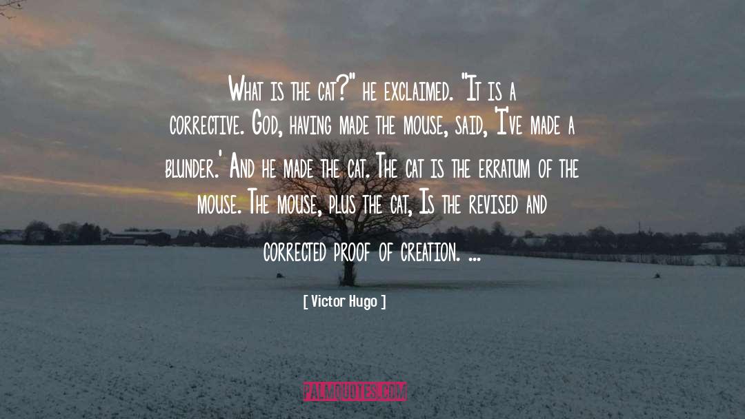 Blunder quotes by Victor Hugo