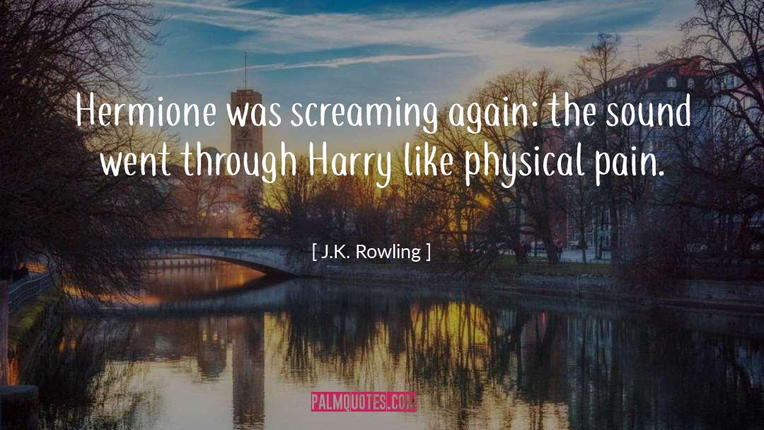 Blunt Pain quotes by J.K. Rowling