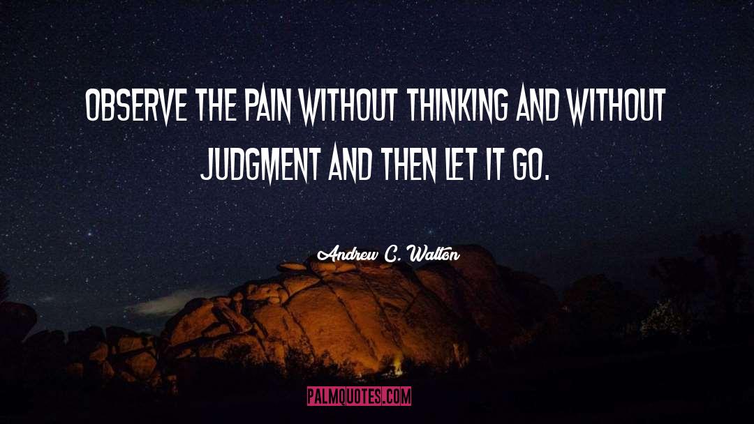 Blunt Pain quotes by Andrew C. Walton