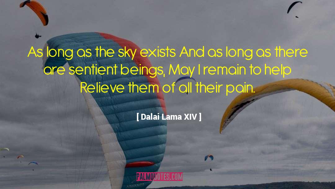 Blunt Pain quotes by Dalai Lama XIV