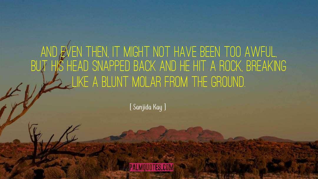 Blunt quotes by Sanjida Kay