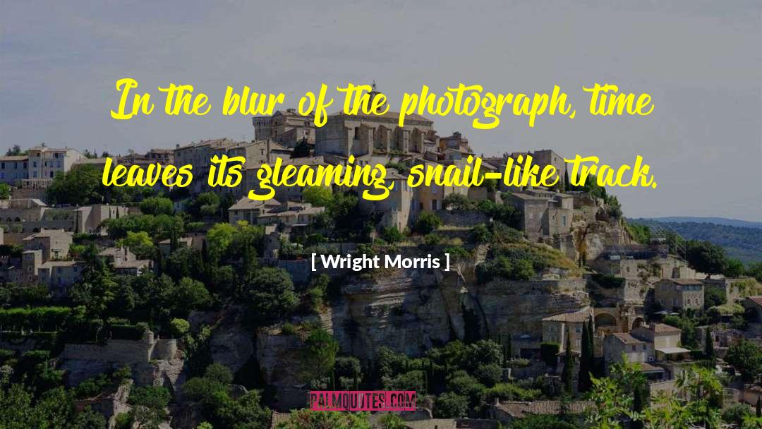 Blur quotes by Wright Morris