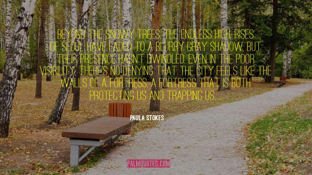 Blurry quotes by Paula Stokes
