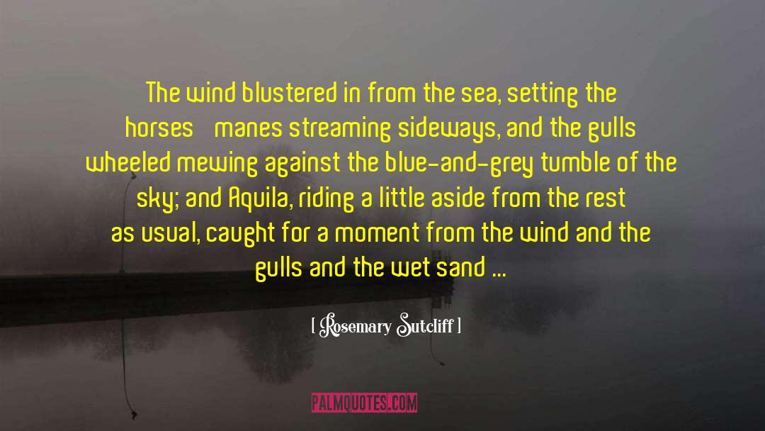 Blustered quotes by Rosemary Sutcliff