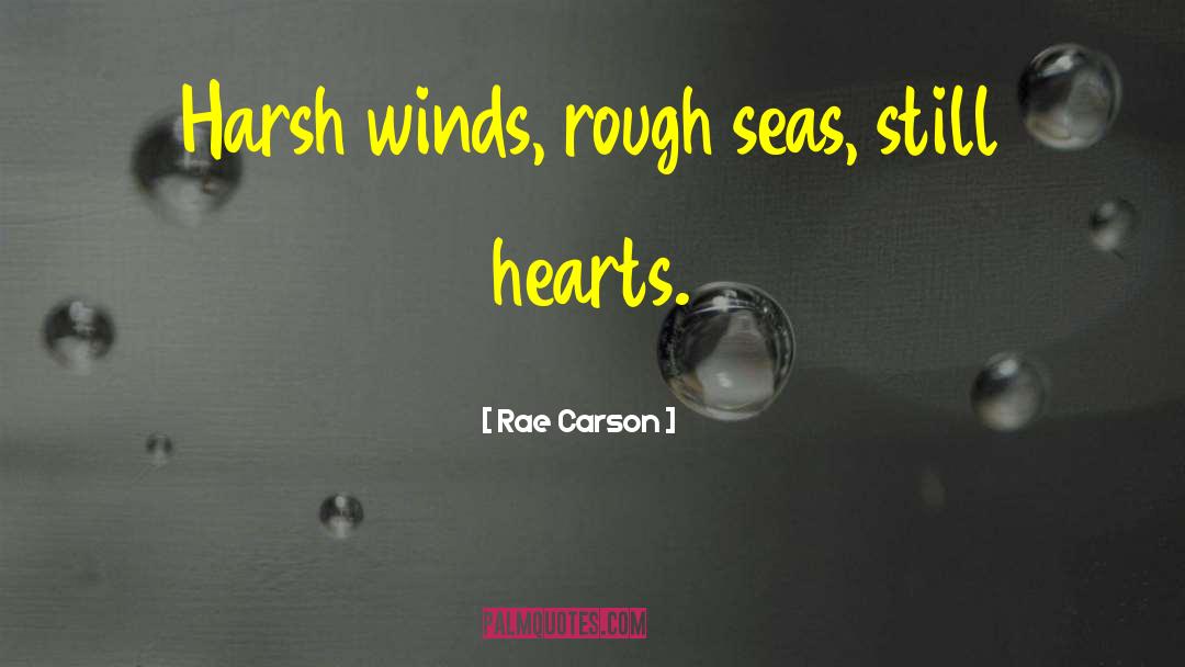 Blustering Winds quotes by Rae Carson