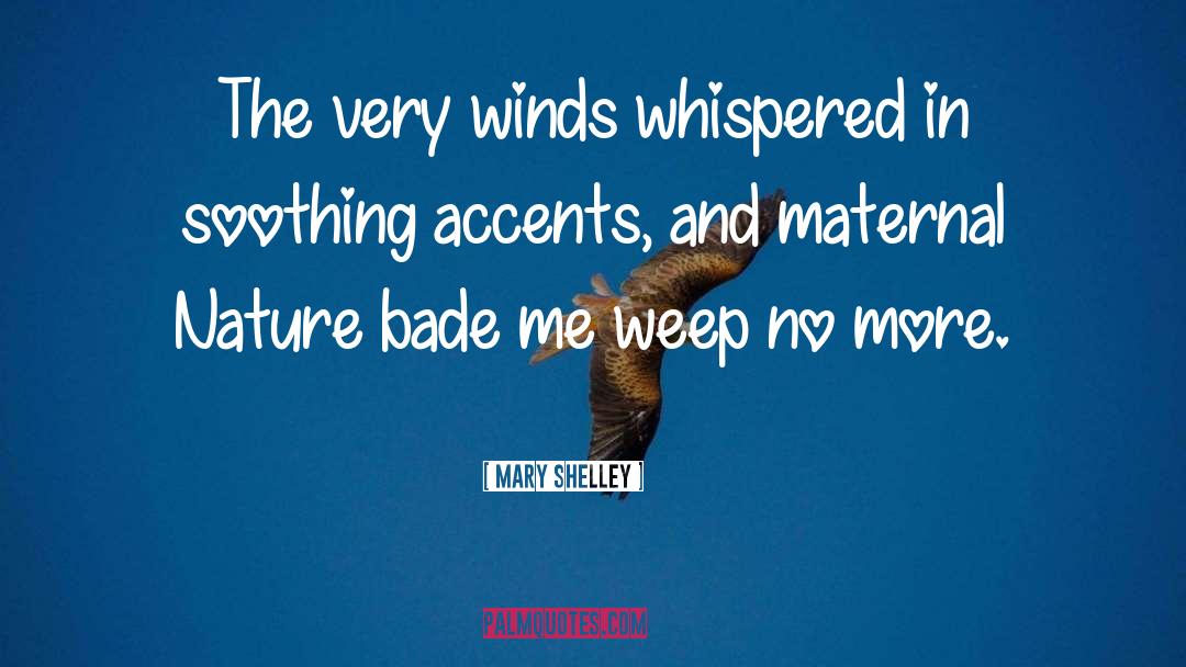 Blustering Winds quotes by Mary Shelley