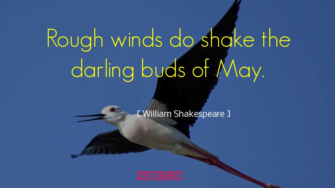 Blustering Winds quotes by William Shakespeare