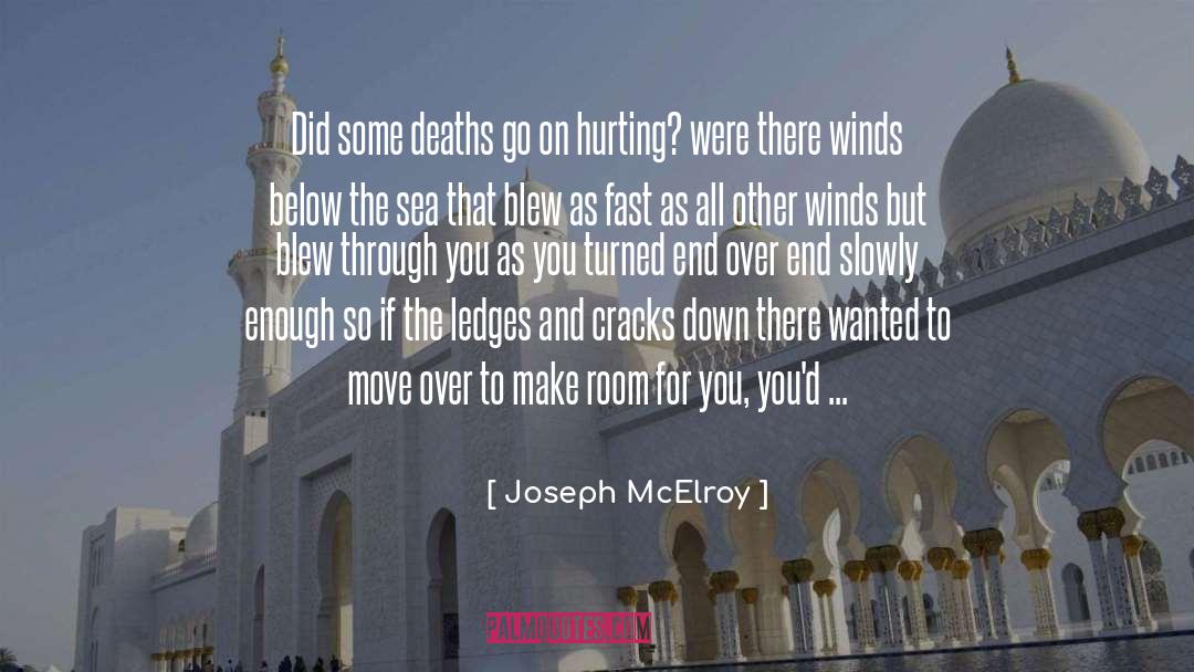 Blustering Winds quotes by Joseph McElroy