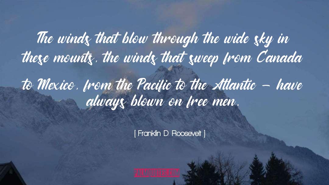 Blustering Winds quotes by Franklin D. Roosevelt