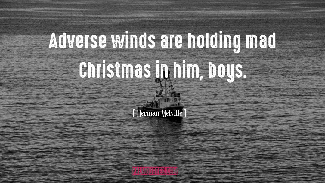 Blustering Winds quotes by Herman Melville