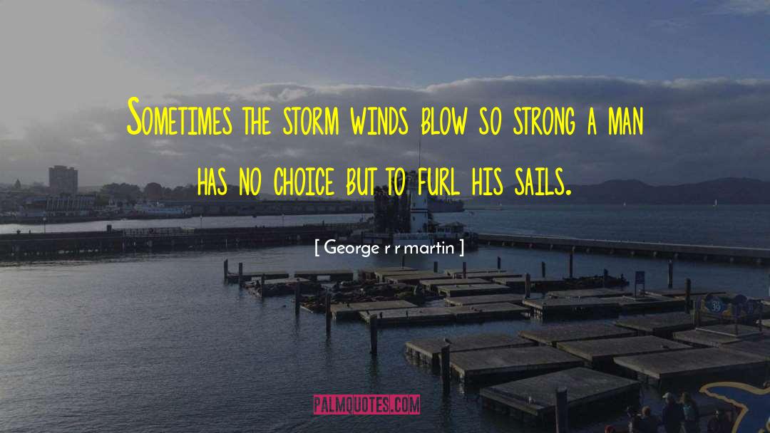 Blustering Winds quotes by George R R Martin