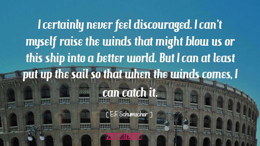 Blustering Winds quotes by E.F. Schumacher