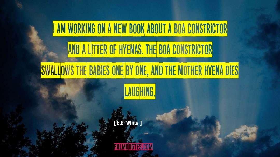 Boa Constrictor quotes by E.B. White