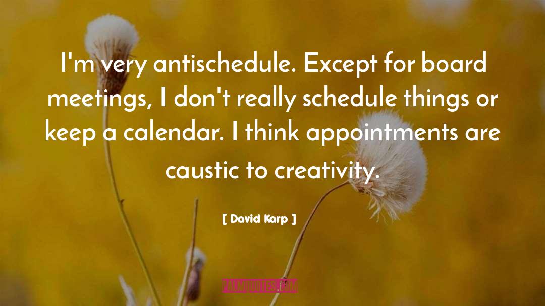 Board Meetings quotes by David Karp