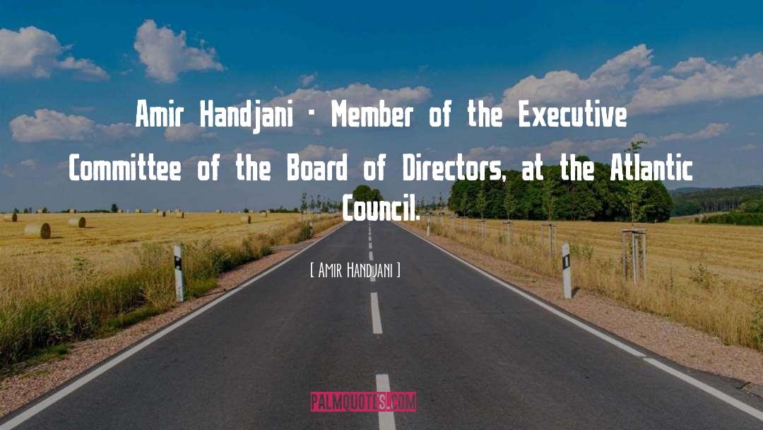 Board Of Directors quotes by Amir Handjani