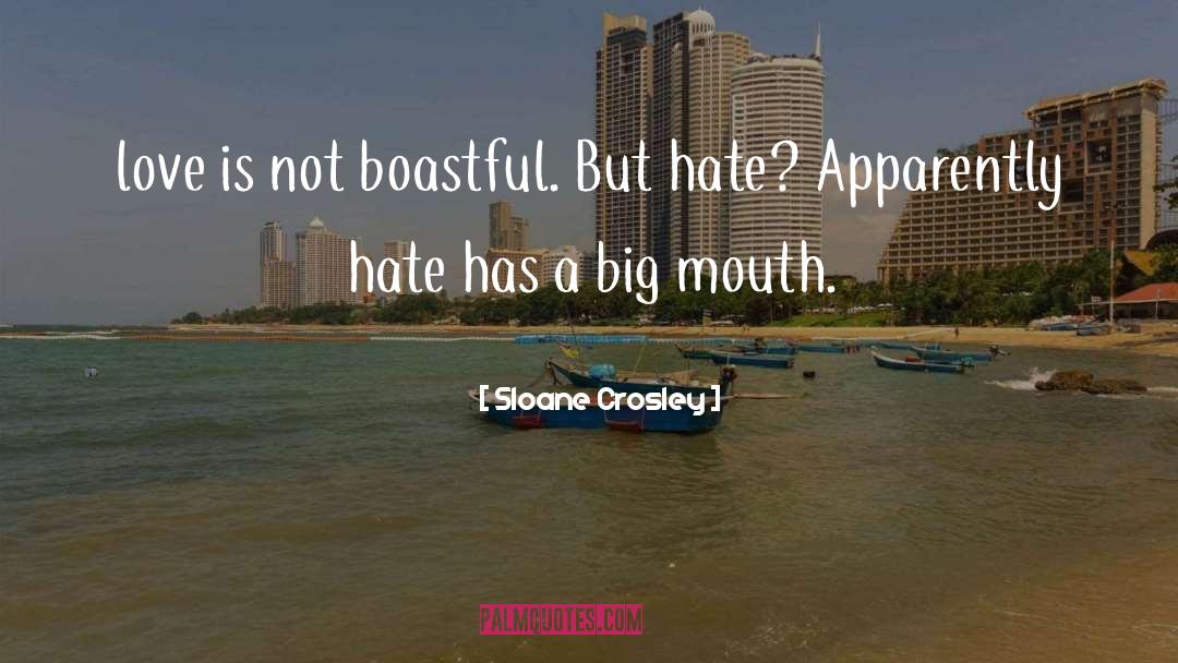 Boastful quotes by Sloane Crosley