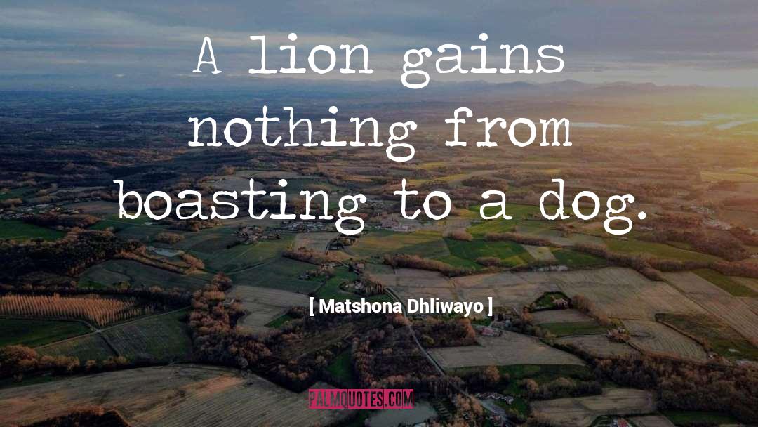 Boasting quotes by Matshona Dhliwayo