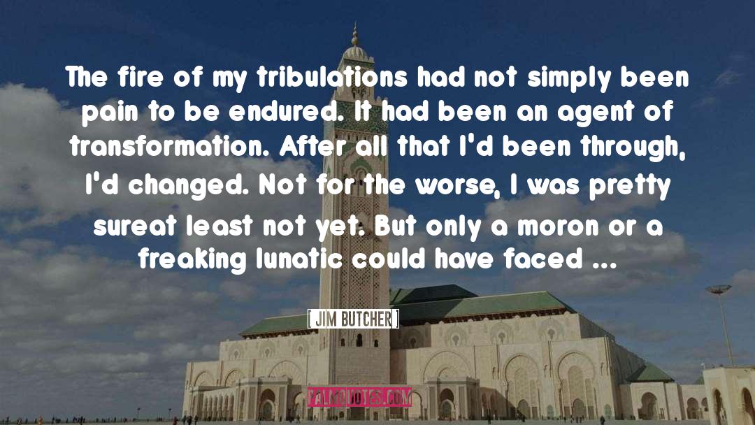 Boat Stealing Lunatic quotes by Jim Butcher