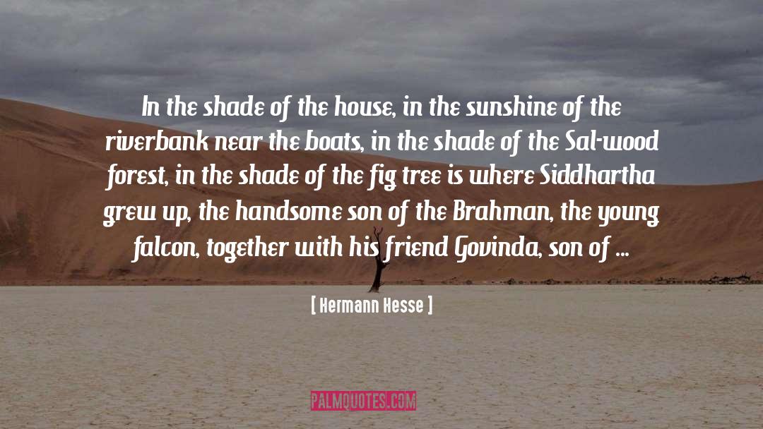 Boats quotes by Hermann Hesse