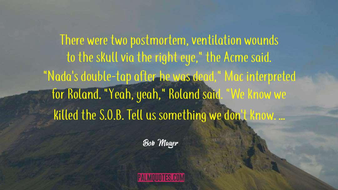 Bob Mayer quotes by Bob Mayer