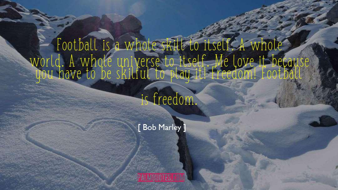 Bob Sommer quotes by Bob Marley