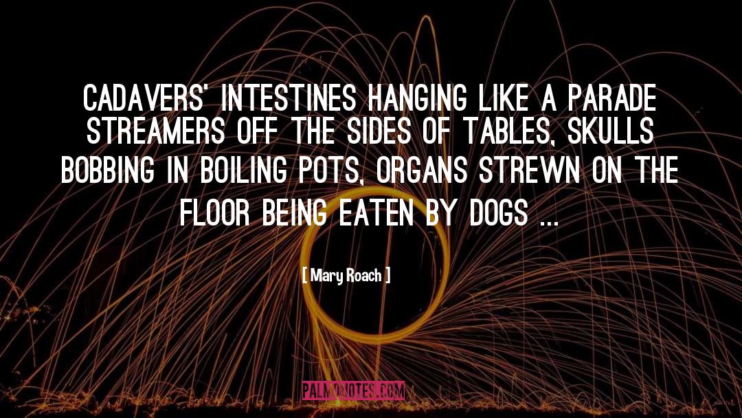 Bobbing quotes by Mary Roach