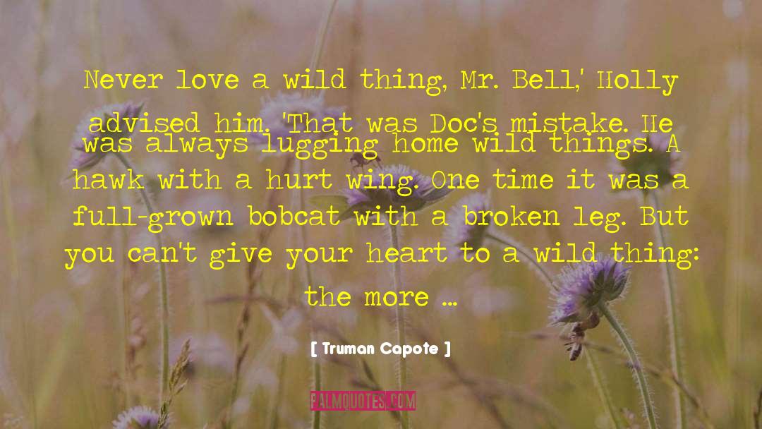 Bobcat quotes by Truman Capote