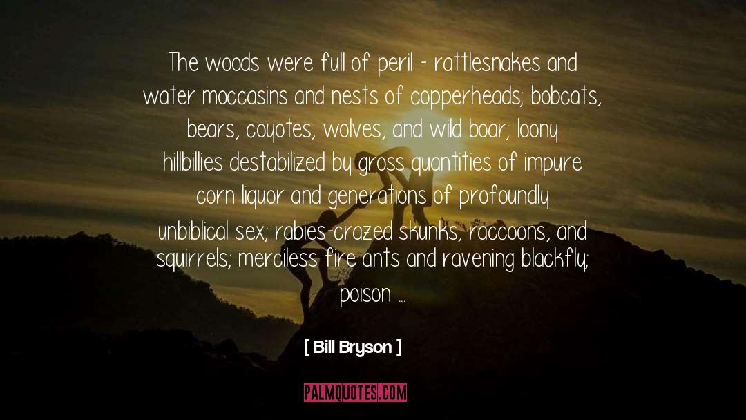 Bobcats quotes by Bill Bryson
