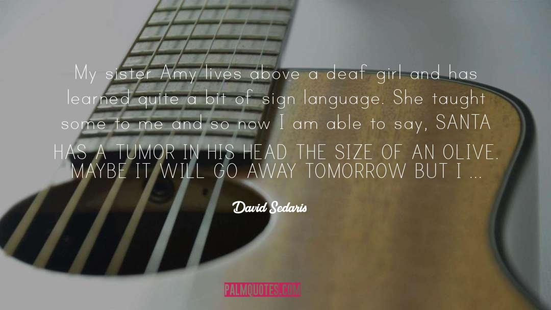 Bodelson Santa Fe quotes by David Sedaris