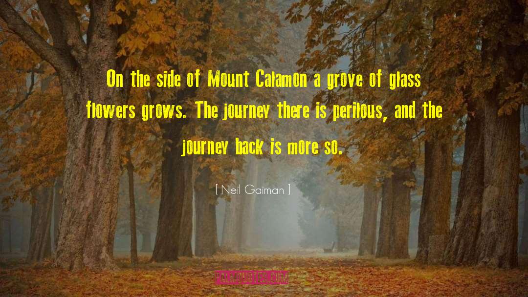 Bodemanns Grove quotes by Neil Gaiman