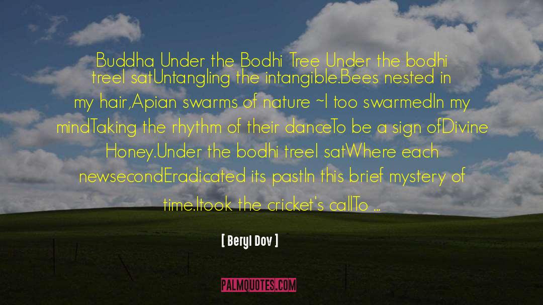 Bodhi quotes by Beryl Dov