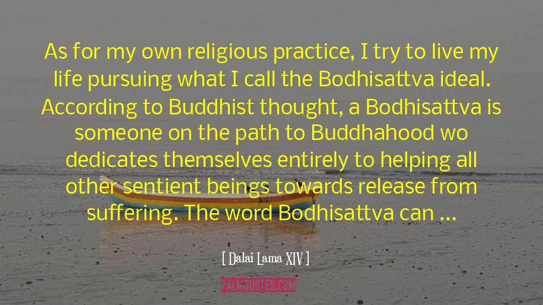 Bodhisattva quotes by Dalai Lama XIV